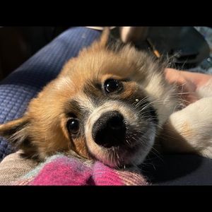 Meet your Posher, Helen